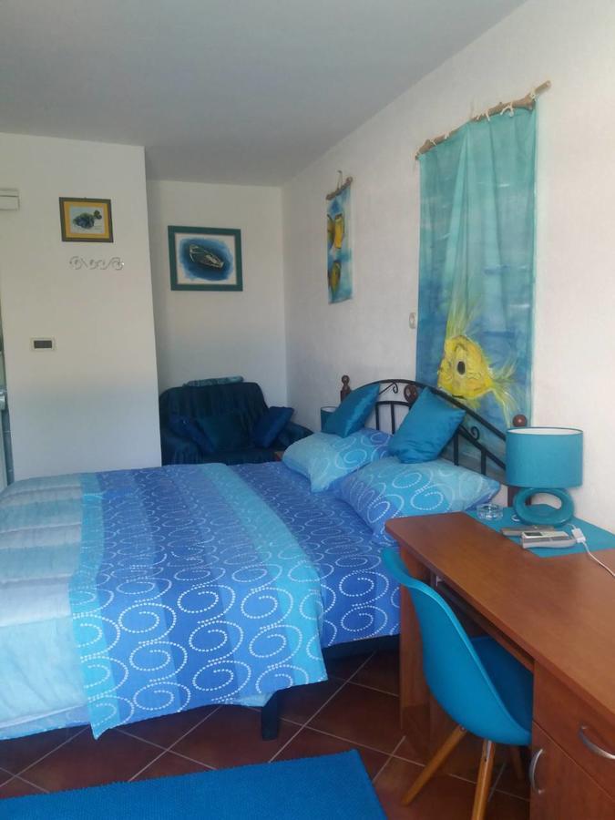 Palm House Apartment