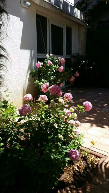 Apartment Palm House Rovinj